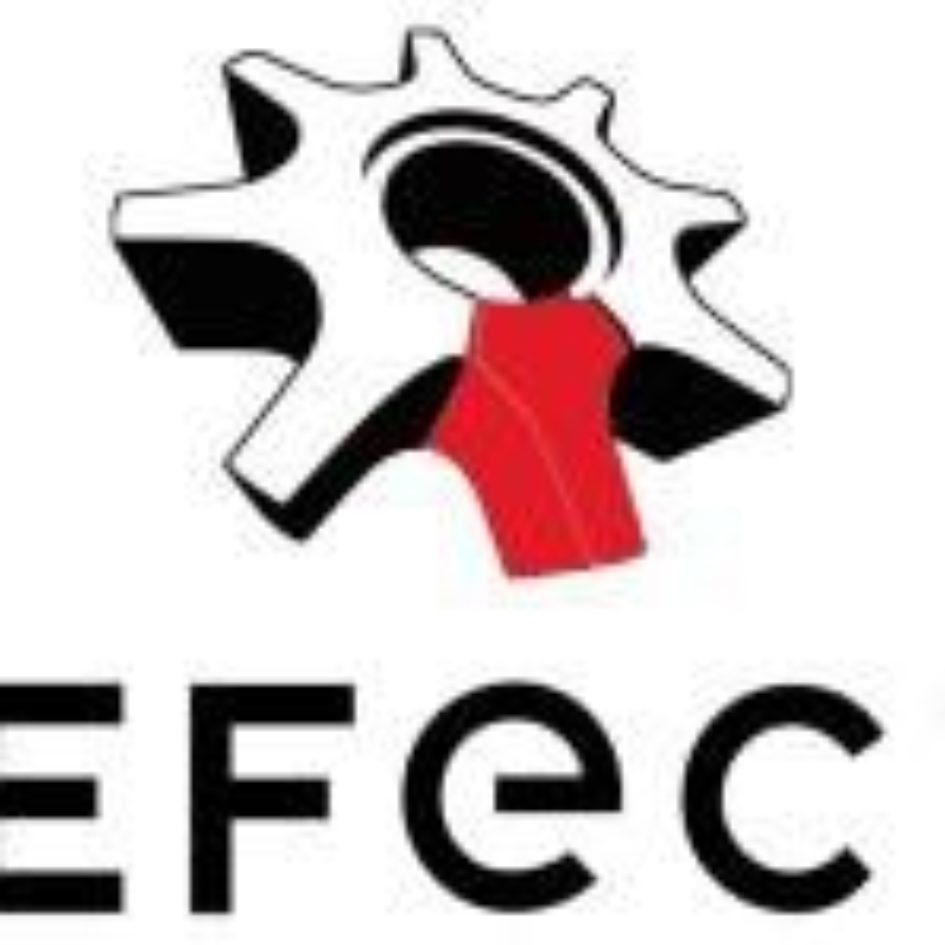 Logo In efecto