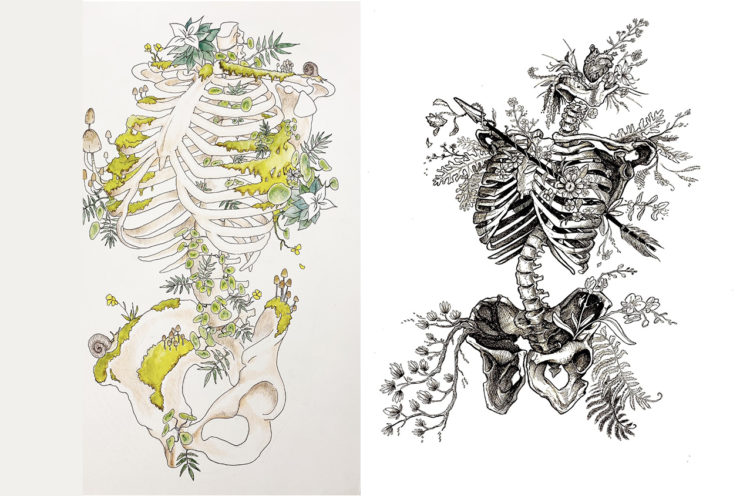Exercice de dessin en MANA : fusion squelette/nature !